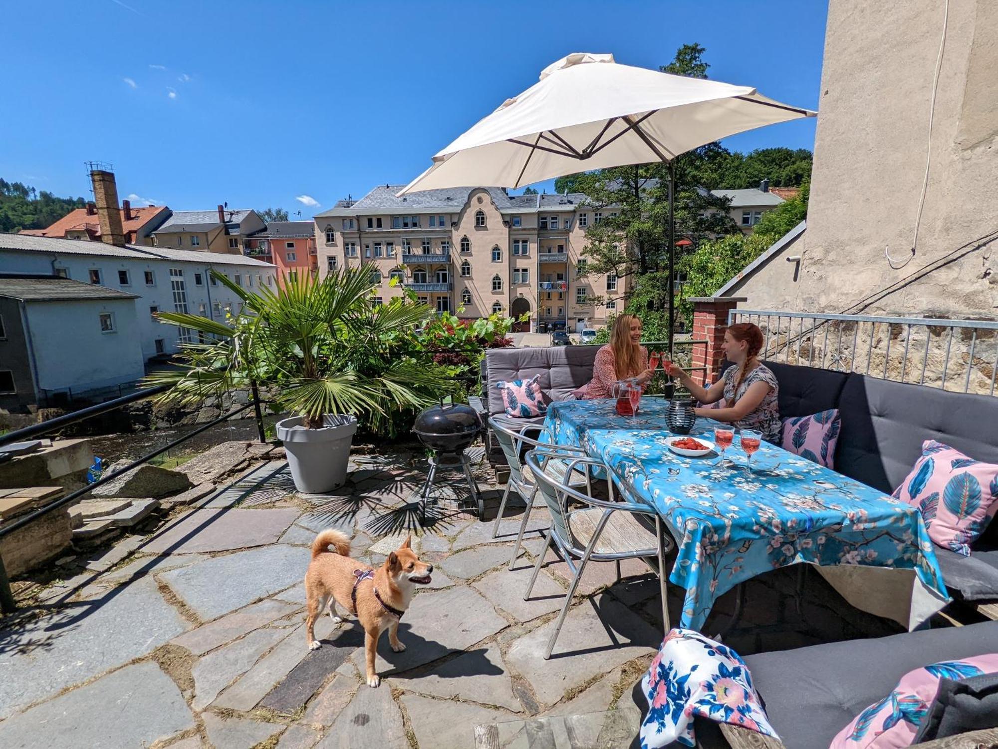 Hw3 - Urlaubsmagie - Helle, Grosse Wohnung Mit Pool Sebnitz Exterior photo