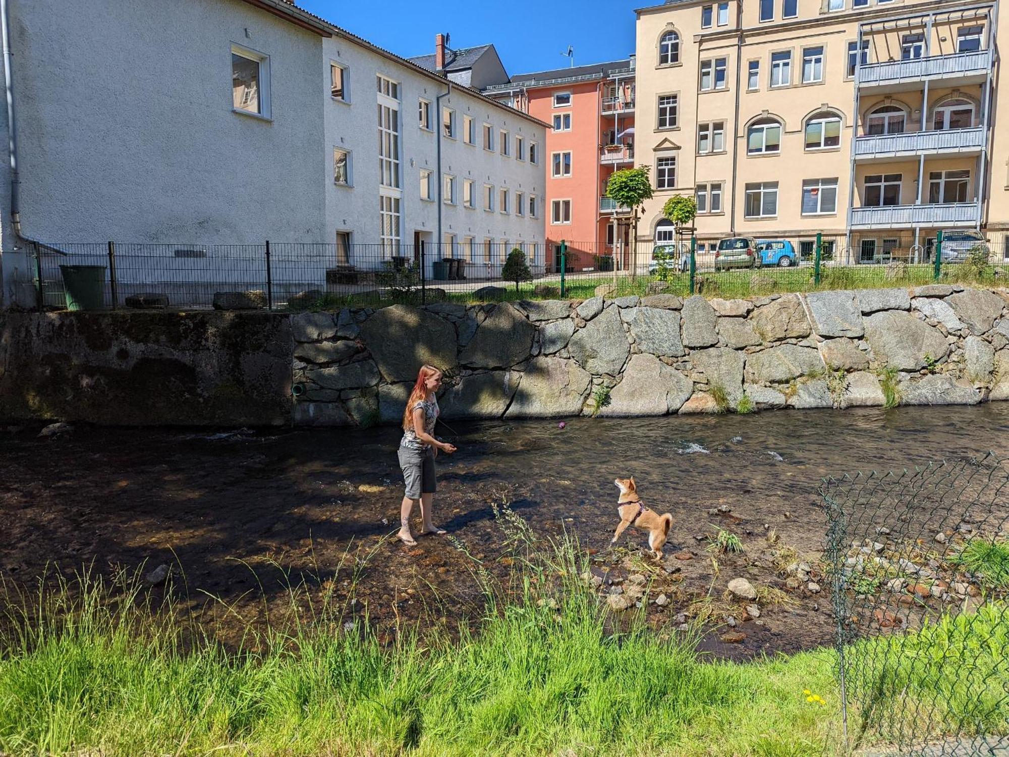 Hw3 - Urlaubsmagie - Helle, Grosse Wohnung Mit Pool Sebnitz Exterior photo