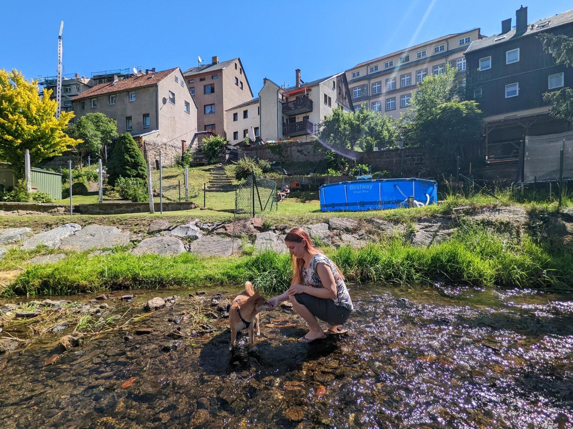 Hw3 - Urlaubsmagie - Helle, Grosse Wohnung Mit Pool Sebnitz Exterior photo