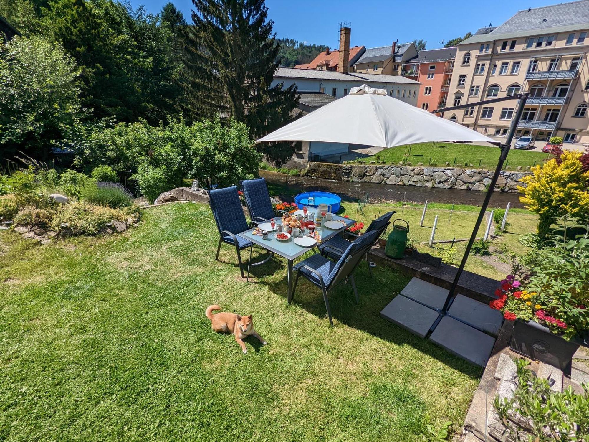 Hw3 - Urlaubsmagie - Helle, Grosse Wohnung Mit Pool Sebnitz Exterior photo