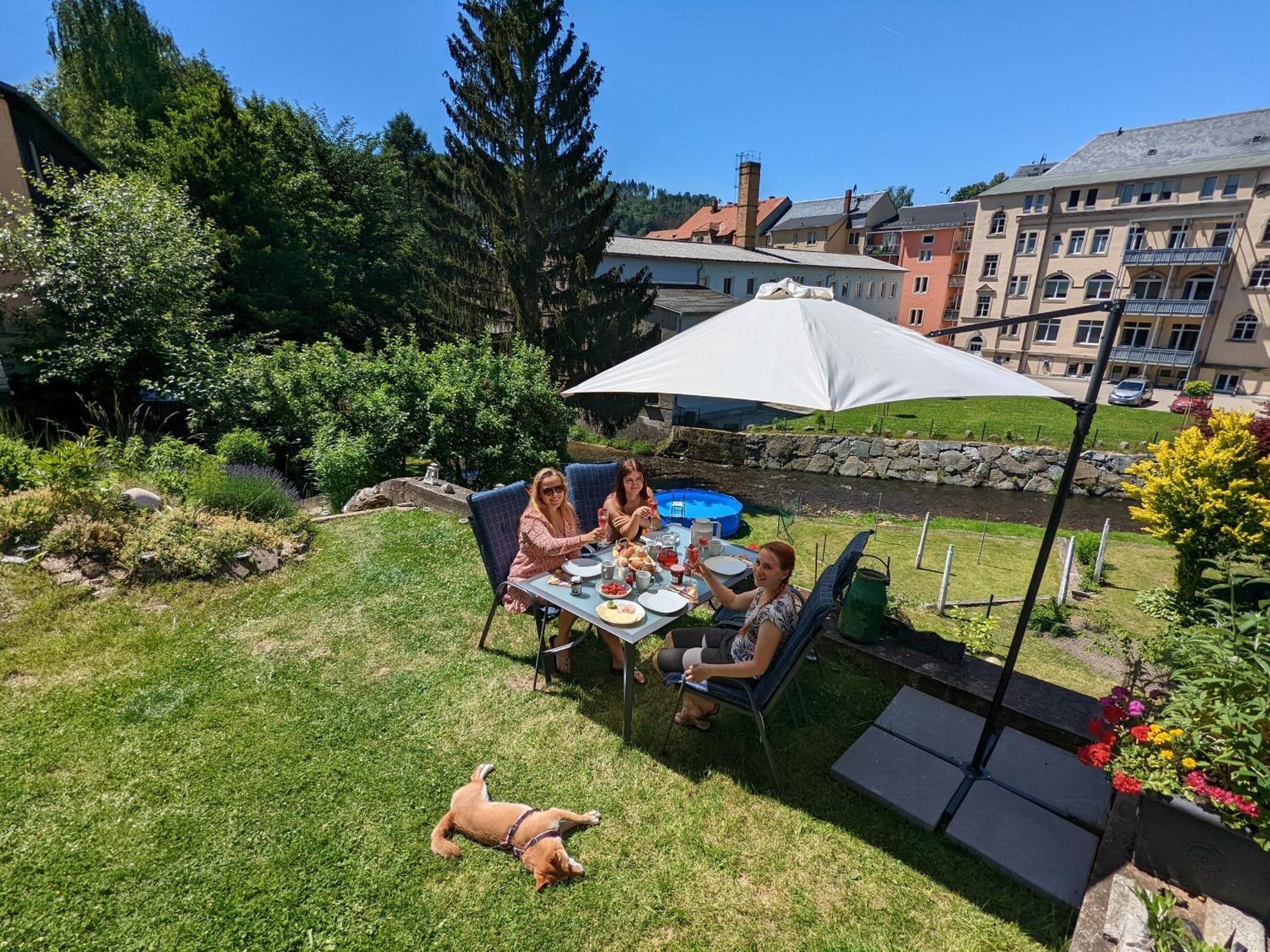 Hw3 - Urlaubsmagie - Helle, Grosse Wohnung Mit Pool Sebnitz Exterior photo