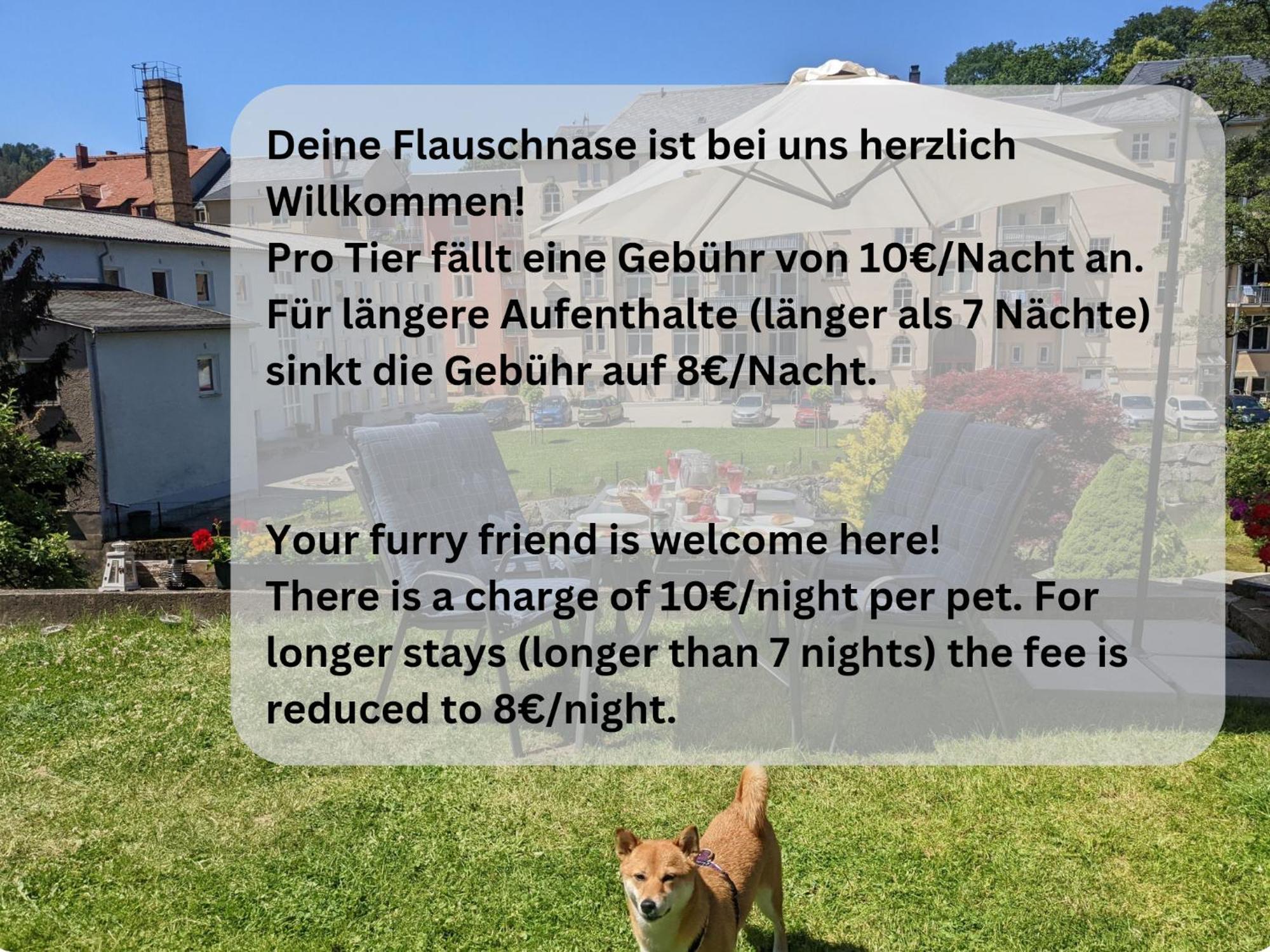 Hw3 - Urlaubsmagie - Helle, Grosse Wohnung Mit Pool Sebnitz Exterior photo